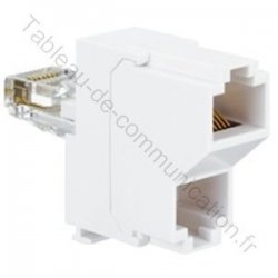 Double fiche saillie Legrand rj45 tel/tel